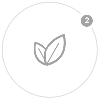 最新imToken